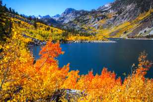 Aspens above Lake Sabrina-5600 Aspens above Lake Sabrina-5600